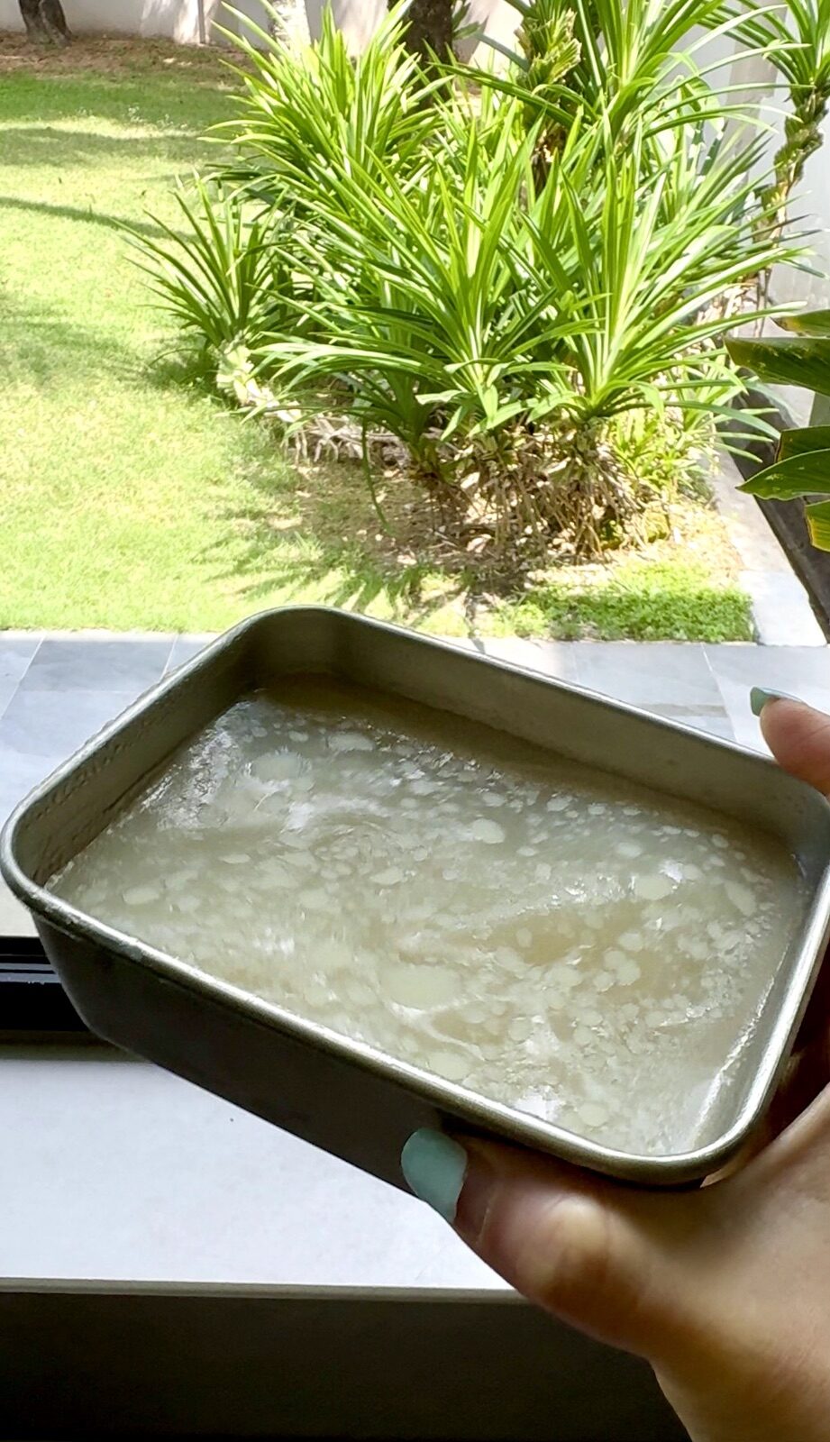 Chicken Soup Stock