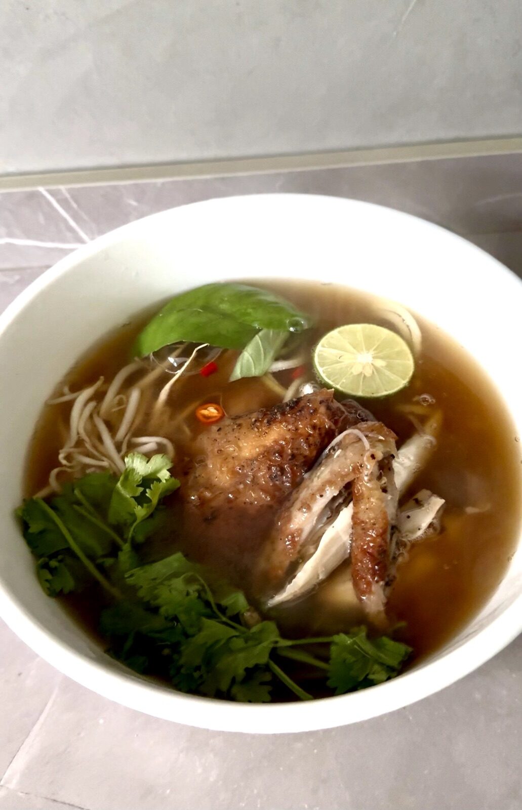 Homemade PhoGa