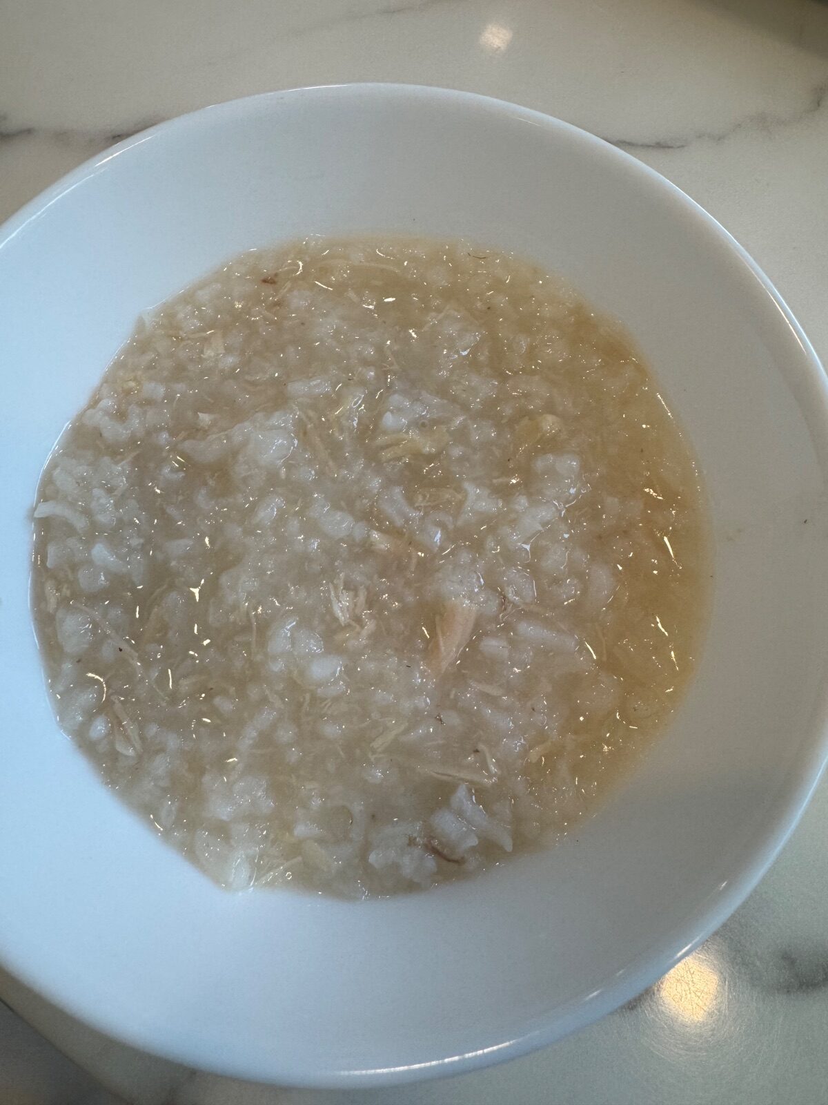 Chicken Porridge