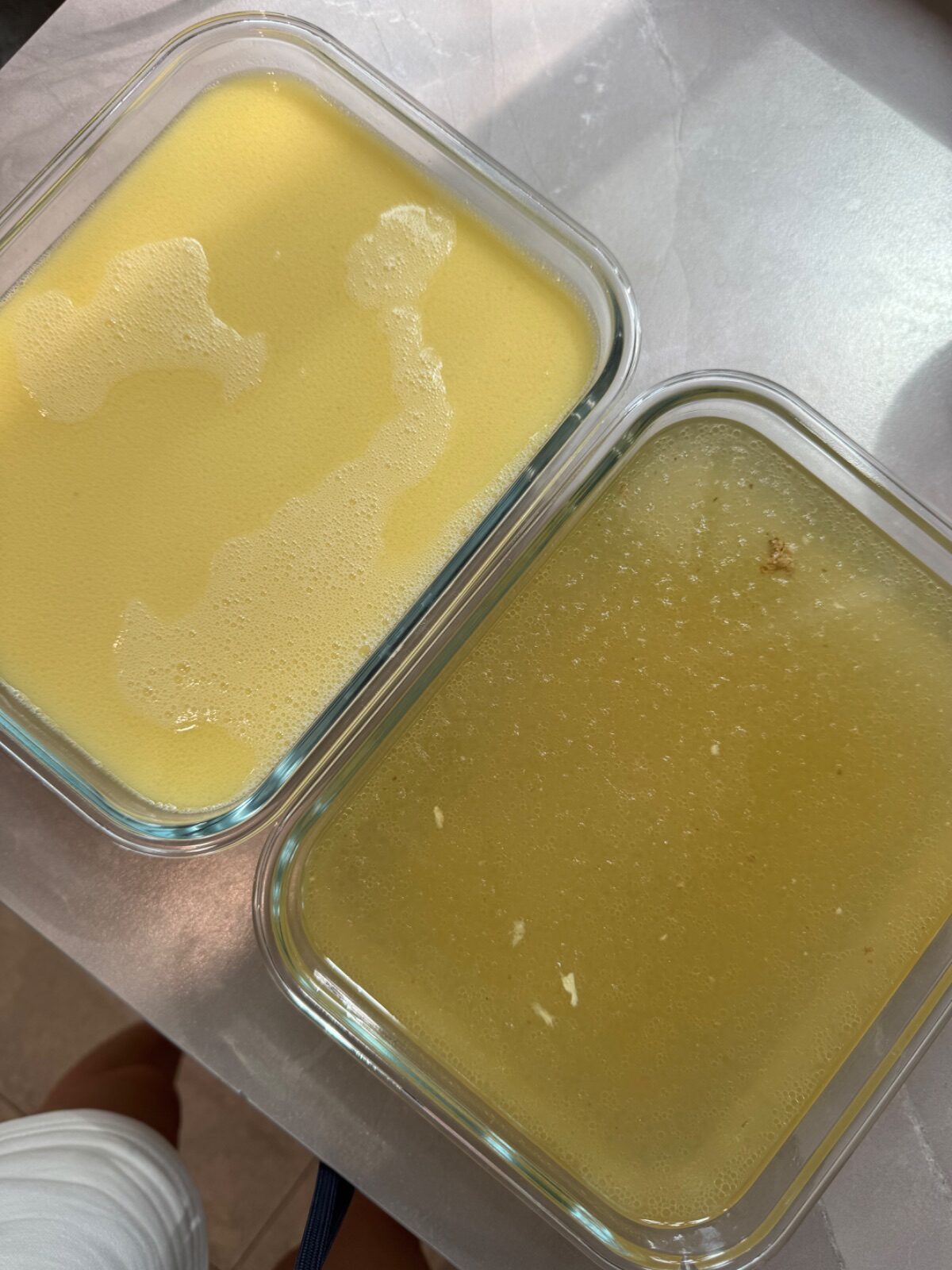 Chicken Chintan & Paitan | One Batch, Two Stocks